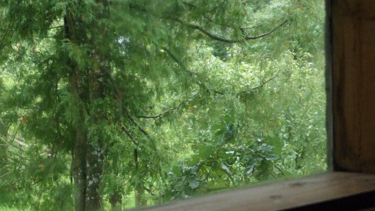 Viruna Farm Kiraste 外观 照片